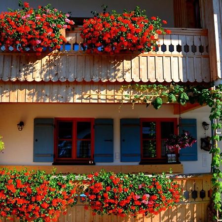 Gaestehaus Wild-Schuetz Швангау Екстер'єр фото