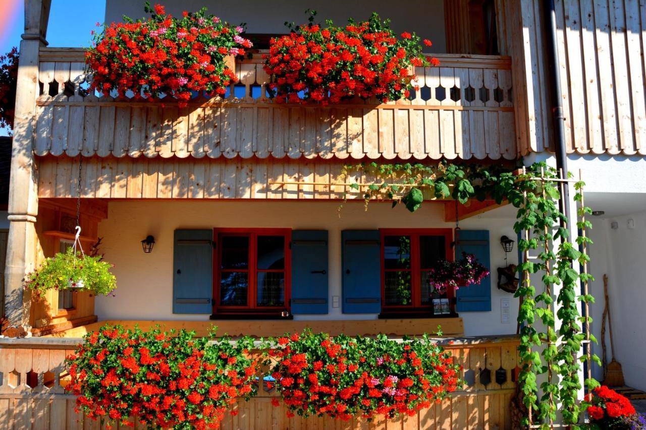 Gaestehaus Wild-Schuetz Швангау Екстер'єр фото